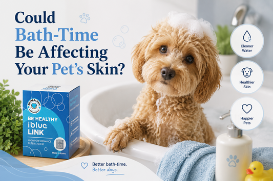 Could Bath-Time Be Affecting Your Pet’s Skin?