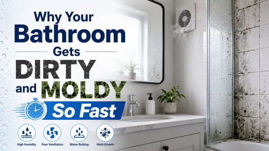 Why Your Bathroom Gets Dirty and Moldy So Fast