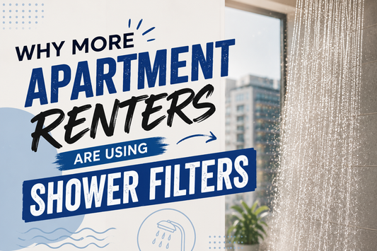 Why More Apartment Renters Are Using Shower Filters